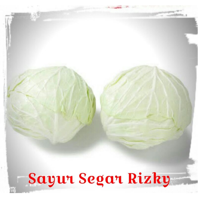 

Kol kubis 1kg [NAIK HARGA]