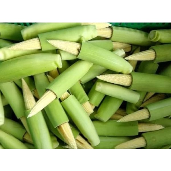 

Jagung Putren 250gr