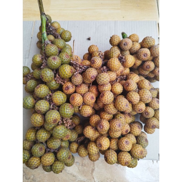 

paket promo termurah buah rotan / biji hoe segar