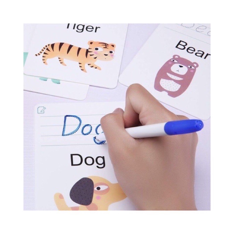 Mideer write and wipe activity cards - card edukasi - kado anak