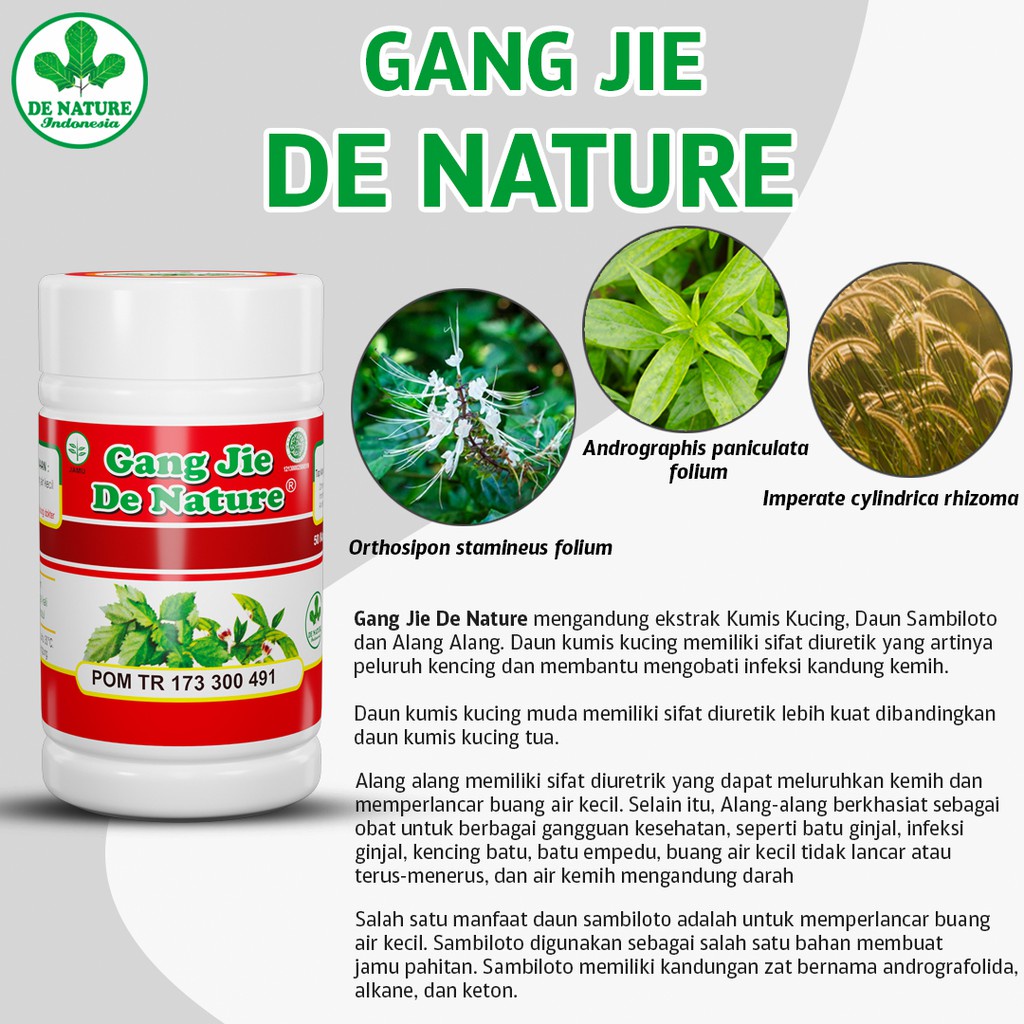 {COD} Obat Kencing Nanah Obat Sipilis Gonore Raja Singa - GANG JIE Herbal De Nature