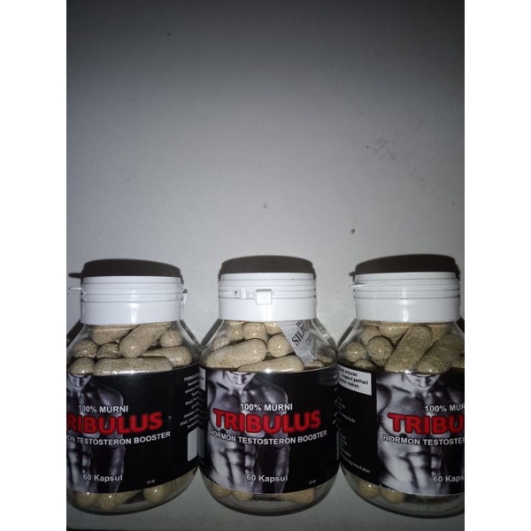 TRIBULUS - Hormon Testosteron Booster 60 Kapsul