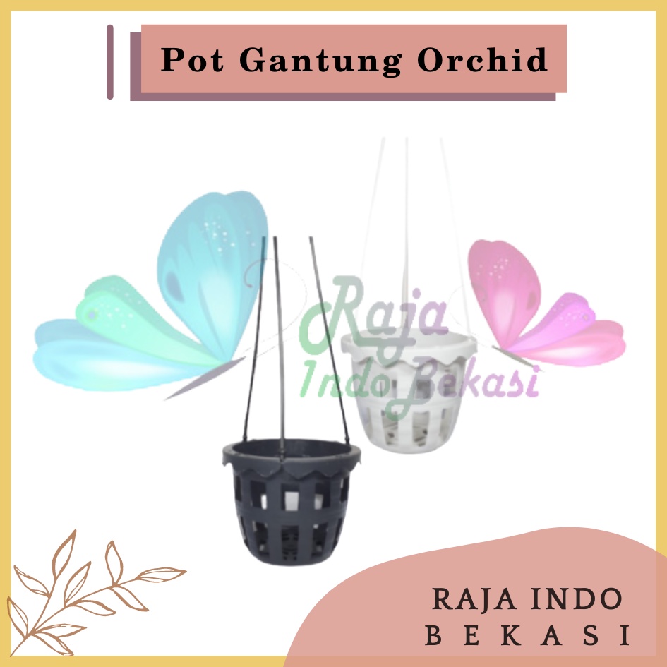 Pot Gantung Anggrek Orchid 10cm Putih Hitam Pot Anggrek Murah Bkn Pot Anggrek Gantung NKT Putih 14