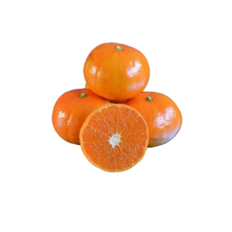 

Buah jeruk murcot Australia fresh import