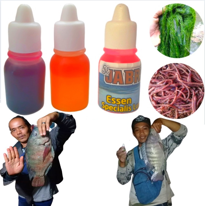 Essen ikan nila media umpan lumut cacing dan pengumpul ikan