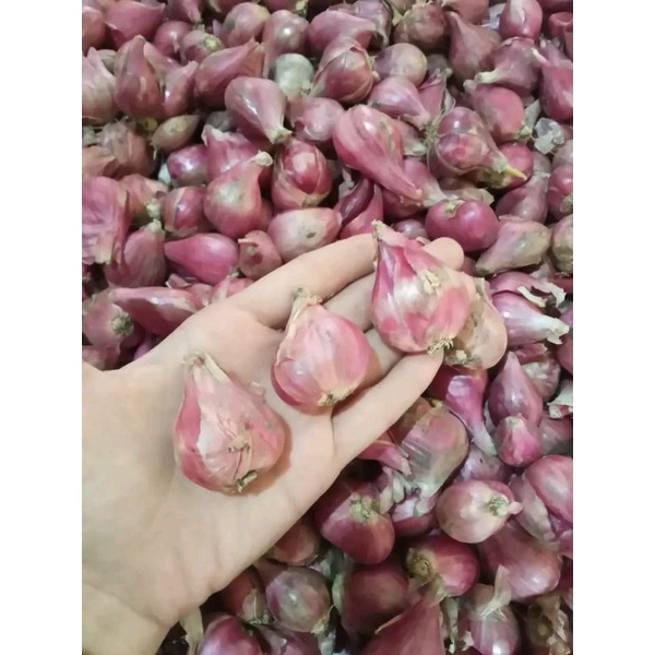 

bawang merah super 500g