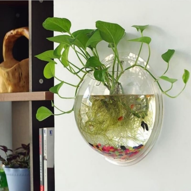 Aquarium dinding untuk Tanaman dan ikan hias