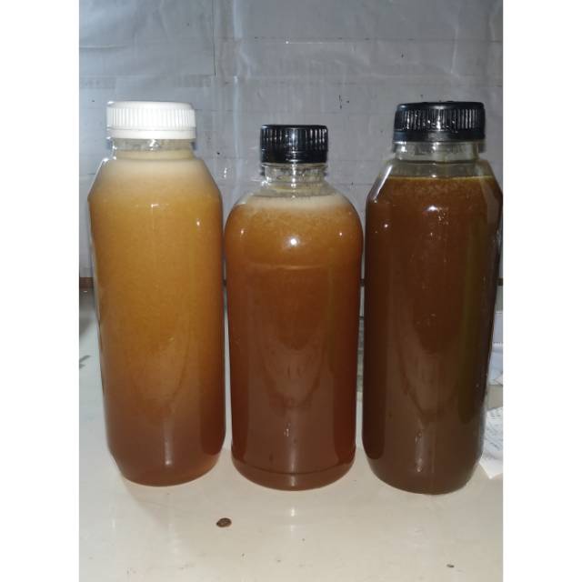 

Madu Hutan Murni Murah