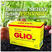 TERLARIS Natural gliocladium /natural glio nasa/ obat patek tanaman cabe /glio ori murah