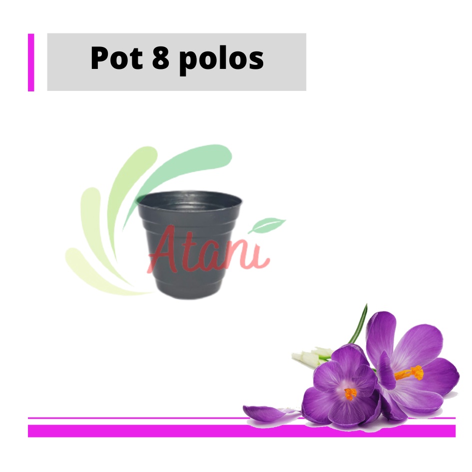 Murah Pot 8 Cm Hitam Pot Bunga 8CM Plastik Kaktus Vas Bunga Pot Tanaman Termurah