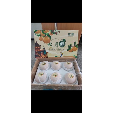 

pear singo gift pack 3kg