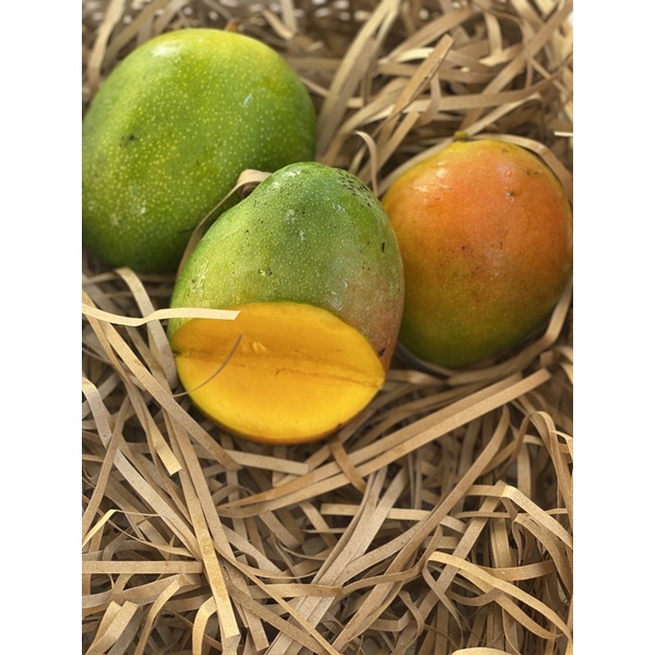 

Mangga Brazil