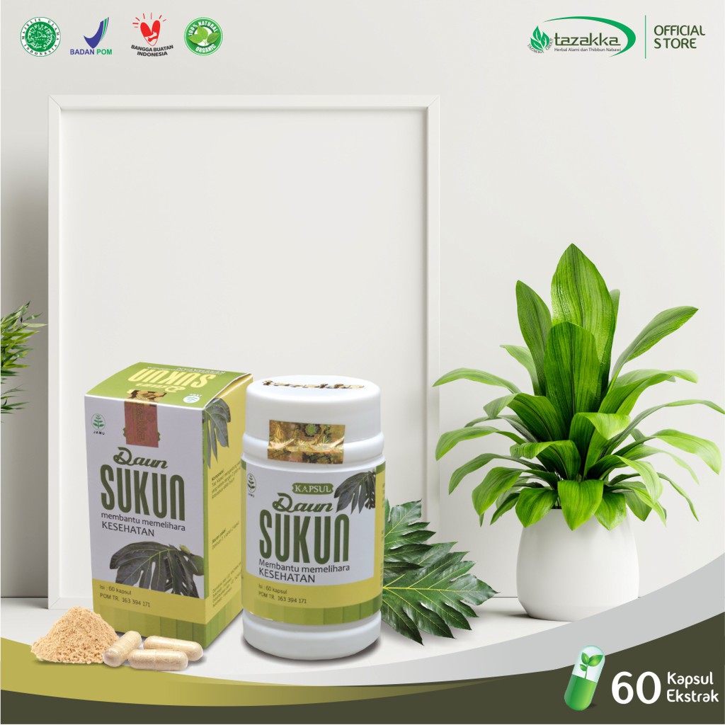 Obat Ginjal Obat gagal Ginjal | Kapsul Herbal DAUN SUKUN Tazakka isi 60 | HALAL BPOM ORIGINAL