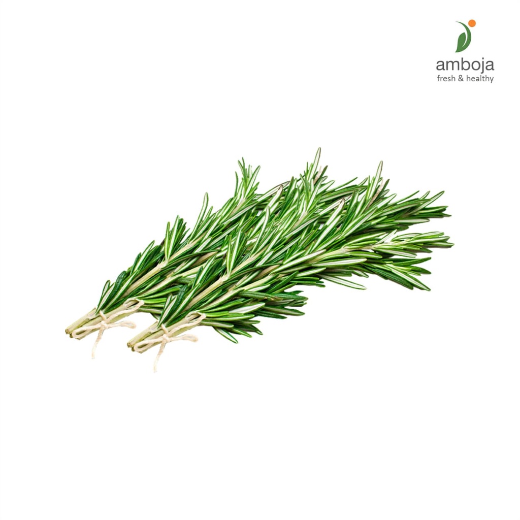 

Rosemary 25gr, Rosmarinus Officinalis, Rosmeri, Rosemari, Tanaman Herbal, Bumbu Masakan Steak, Rempah Aromatik Rosmary Aromaterap Pack