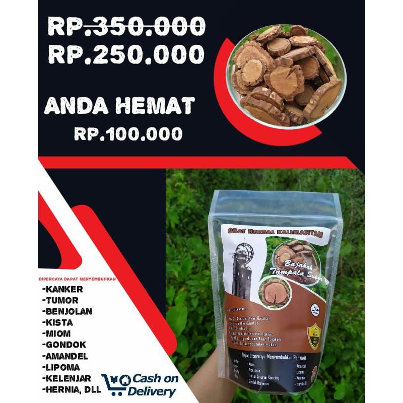 Akar Bajakah Tampala super