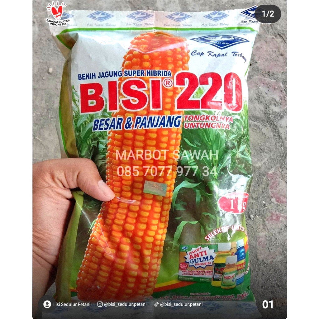 Benih-Bibit Jagung Super Hibrida BISI 220