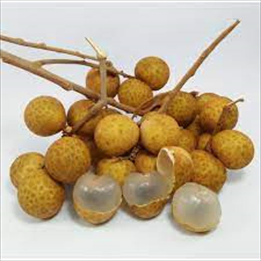 

Buah Lengkeng Premium 500 Gram Bangkok