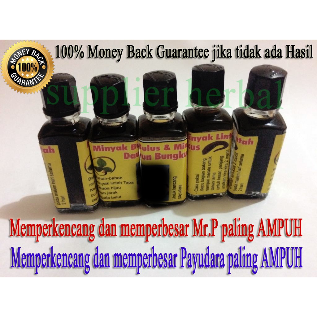 Minyak Daun + Lintah Hitam + Bulus 10ml