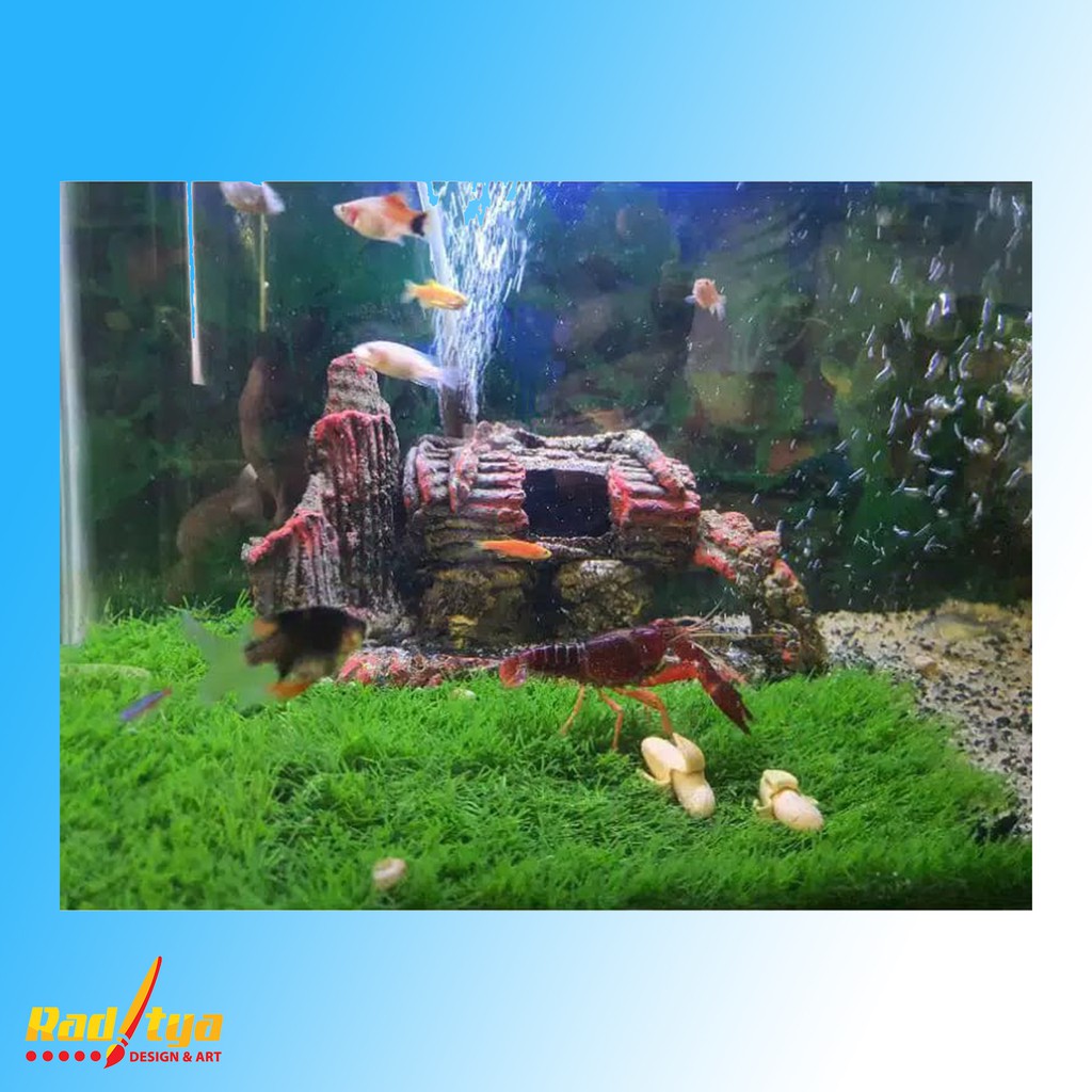 PROMO Rumput Sintetis Aquarium Tipe Swiss Stok Terbatas