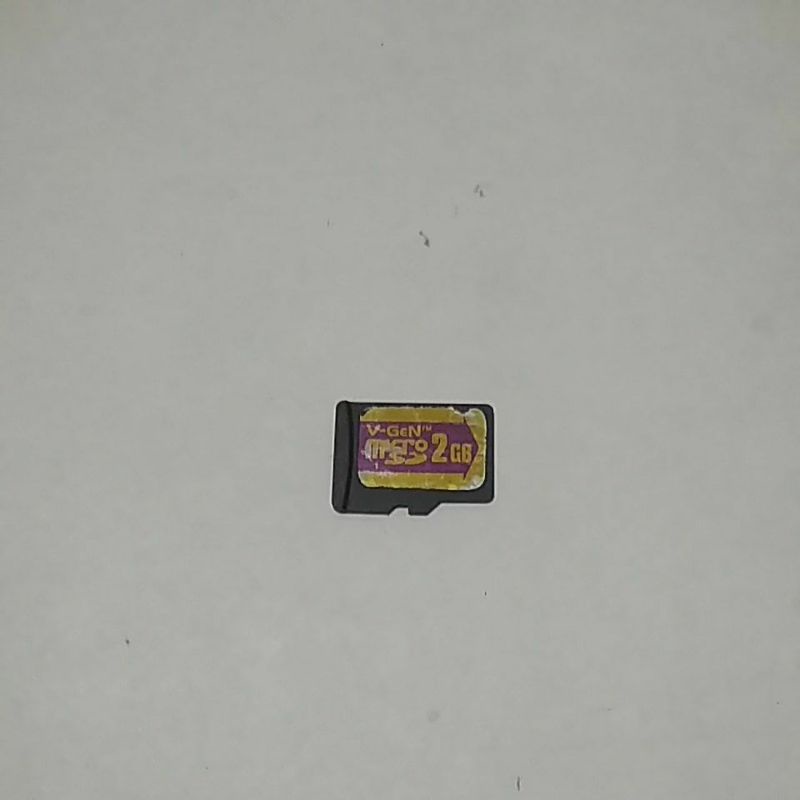 Micro SD Card V-Gen 2GB normal