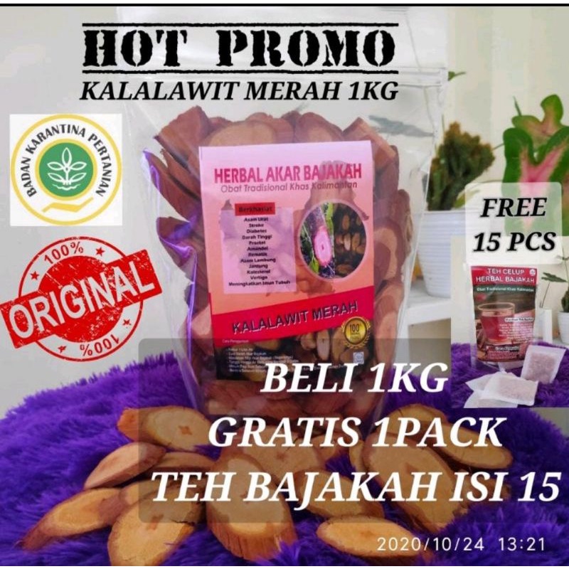 BAJAKAH MERAH (AKAR KALALAWIT MERAH)