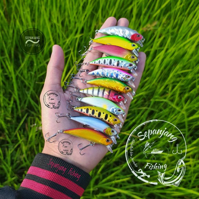 Minnow sinking UL 5 cm / 5 gram ~ minnow TSURINOYA replika ~ Sepanjang Fishing