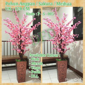 

Pohon Angpao / Pohon Sakura / Meihua ( Uk : 120 Cm )