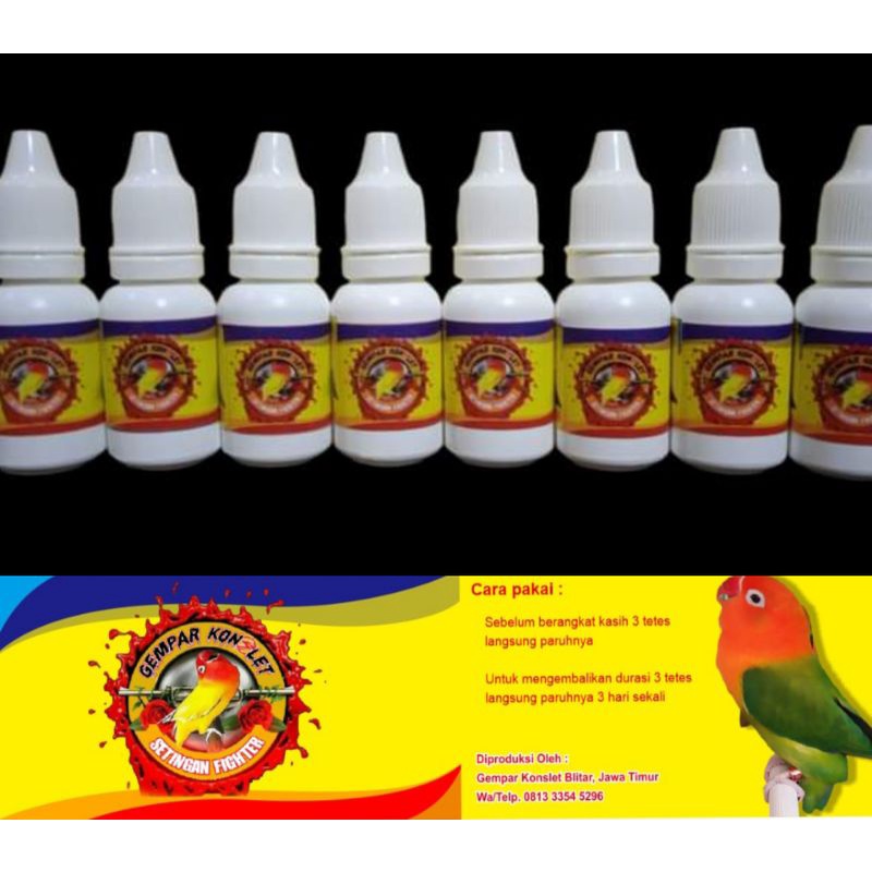 Gempar konslet fighter