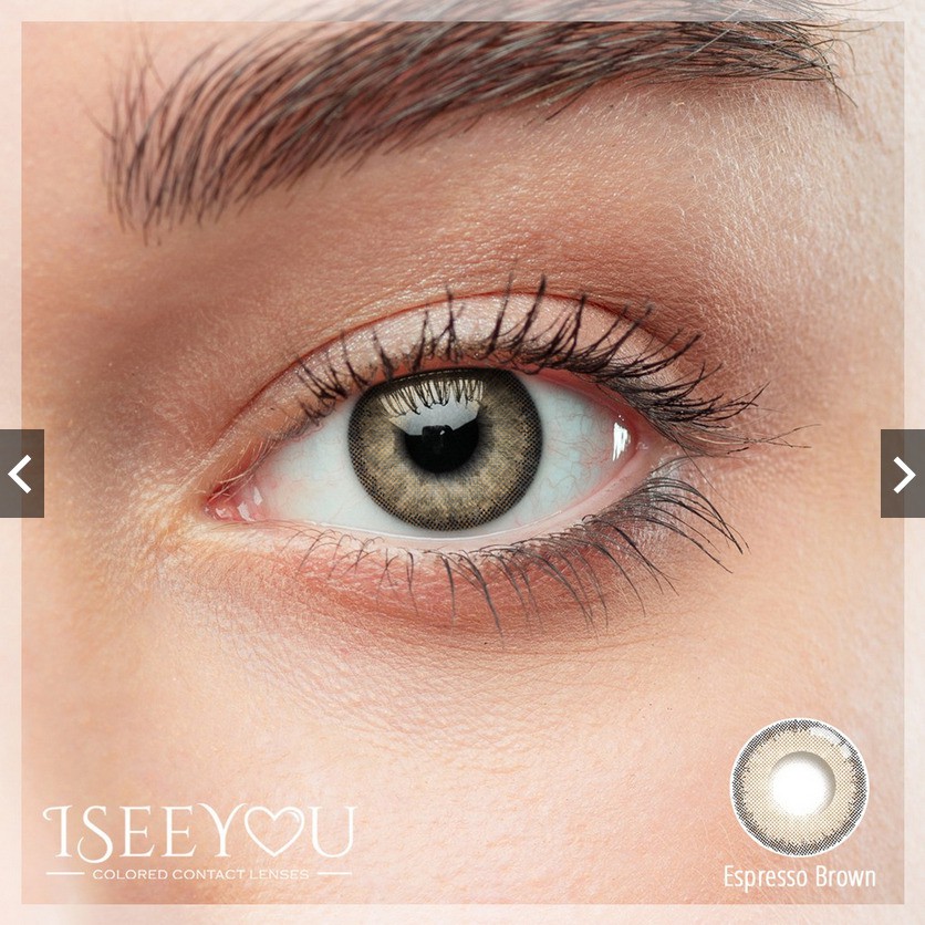 SOFTLENS MINUS DAN NORMAL OMEGA I SEE YOU ESPRESSO BROWN 14.5mm (0.00 sd -6.00) GRATIS TEMPAT SOFLEN