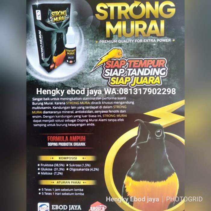 TERLARIS vitamin murai lomba Ebod strong murai HGS0X-69