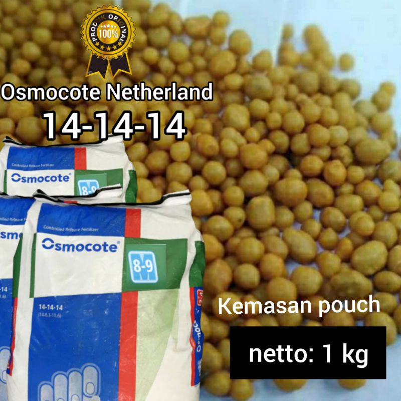osmocote 141414 1kg, pupuk osmocote 141414 1kg, pupuk osmocote 14 14 14 1kg, pupuk osmocote aglonema