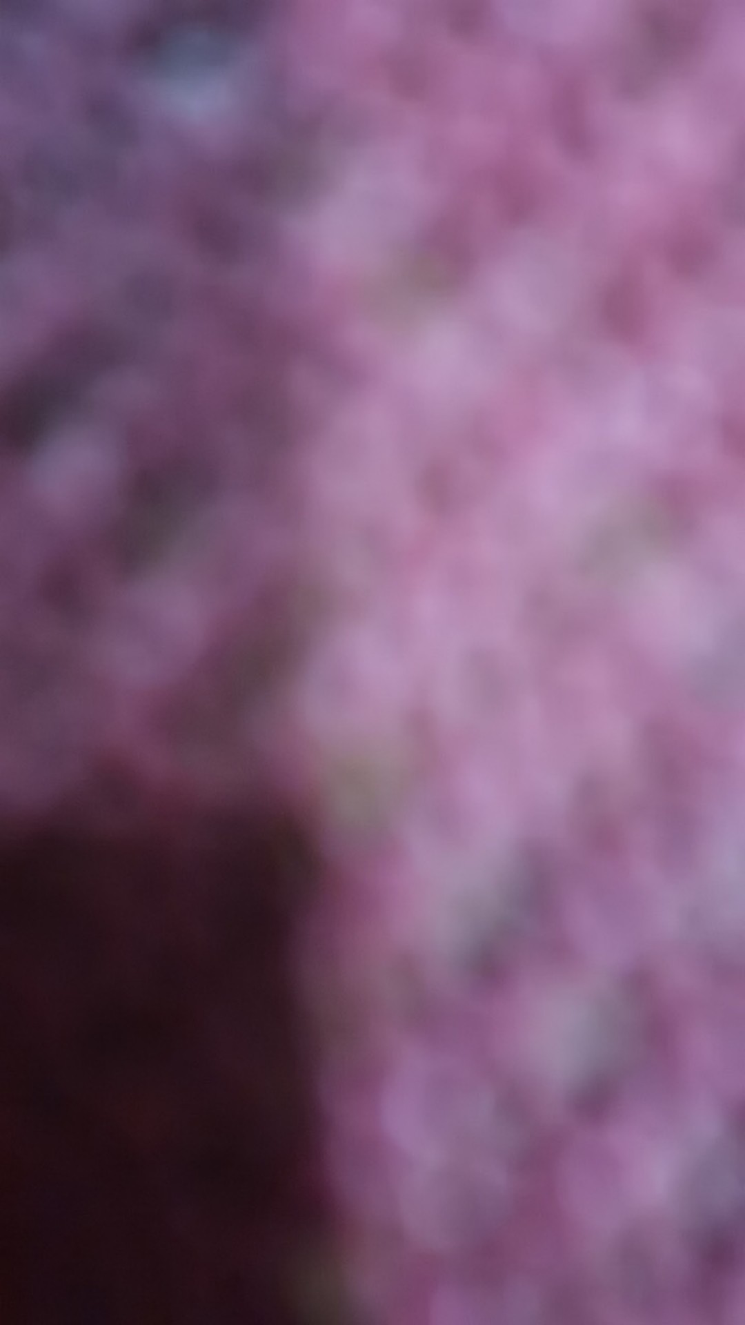 Kemeja Pria Atasan Batik Lengan Pendek Bahan Rayon Regular Fit Batik Huza