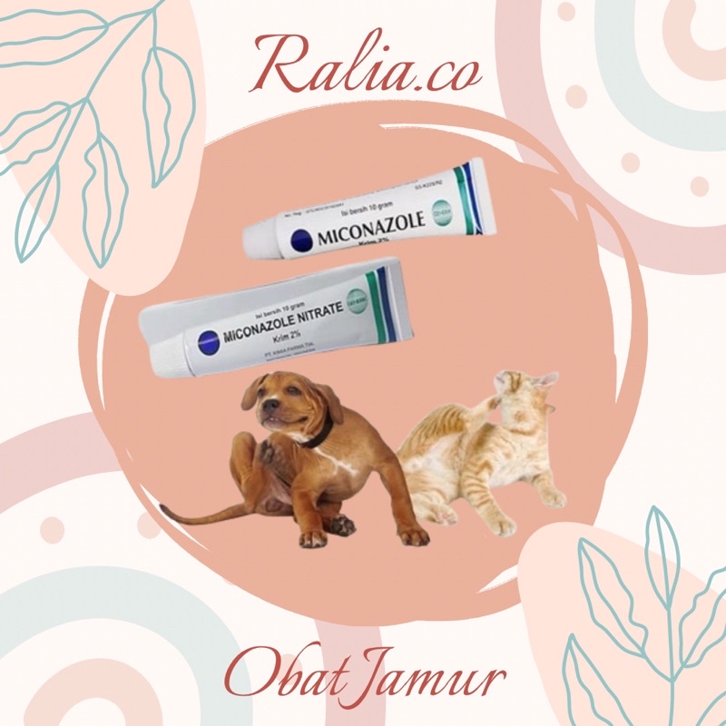 Salep Jamur Kucing Anjing Ampuh Kimia Farma Krim 2% 10 gram Murah Aman miconazole salepSalep Jamur Kucing Anjing Ampuh Kimia Farma Krim 2% 10 gram Murah Aman miconazole salep