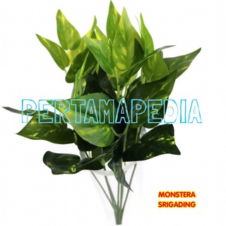 Daun Monsterra Daun Monstera Bunga Plastik Bunga Artificial Daun Hiasan Daun Plastik Dekorasi Shopee Indonesia