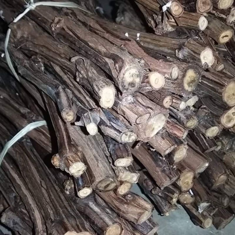 cutting anggur lokal Isabella