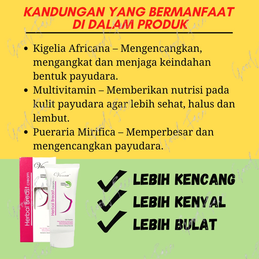 VIENNA HERBAL BREAST ORIGINAL BPOM PEMBESAR PAYUDARA CREAM PAYUDARA PENGENCANG PAYUDARA