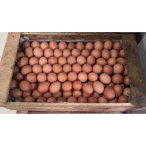 Telur ayam negeri // Iket // Peti // 15 KG