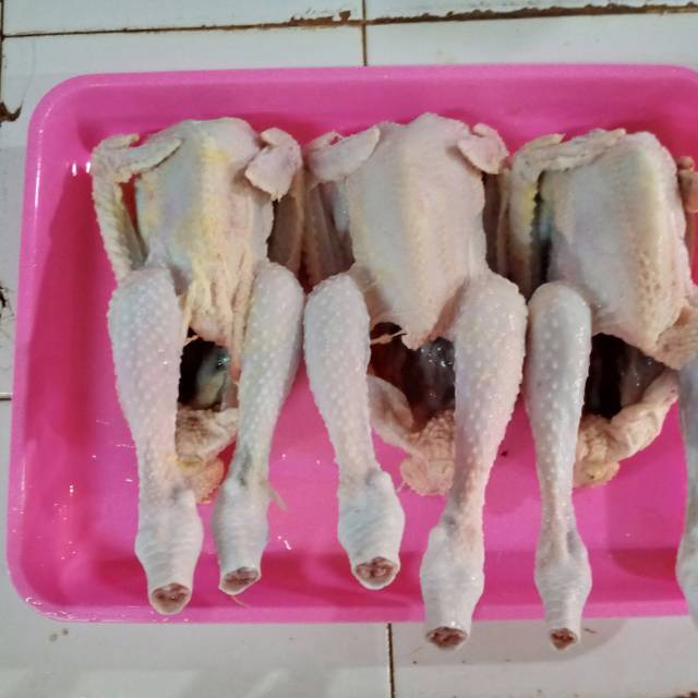 Jual Ayam Karkas Broiler 0 9 1 Kg 9 Ons 9ons 1 Kg 1kg Fresh Frozen Fresh Kab Tangerang Sentral Ayam Tokopedia