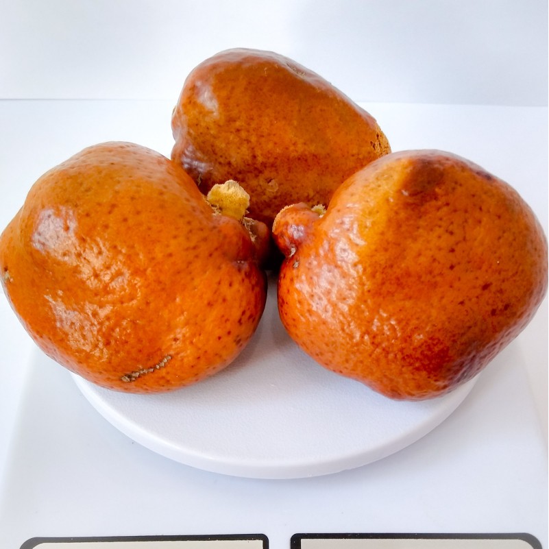 Buah Zuriat 1 Kg / Zuriyat / Doum Original Kwalitas Premium  Untuk Program Hamil ( Promil )