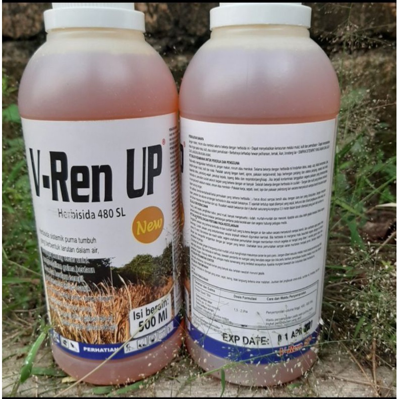 V Rent Up 500Ml Herbisida 480 SL Pembasmi Rumput Liar