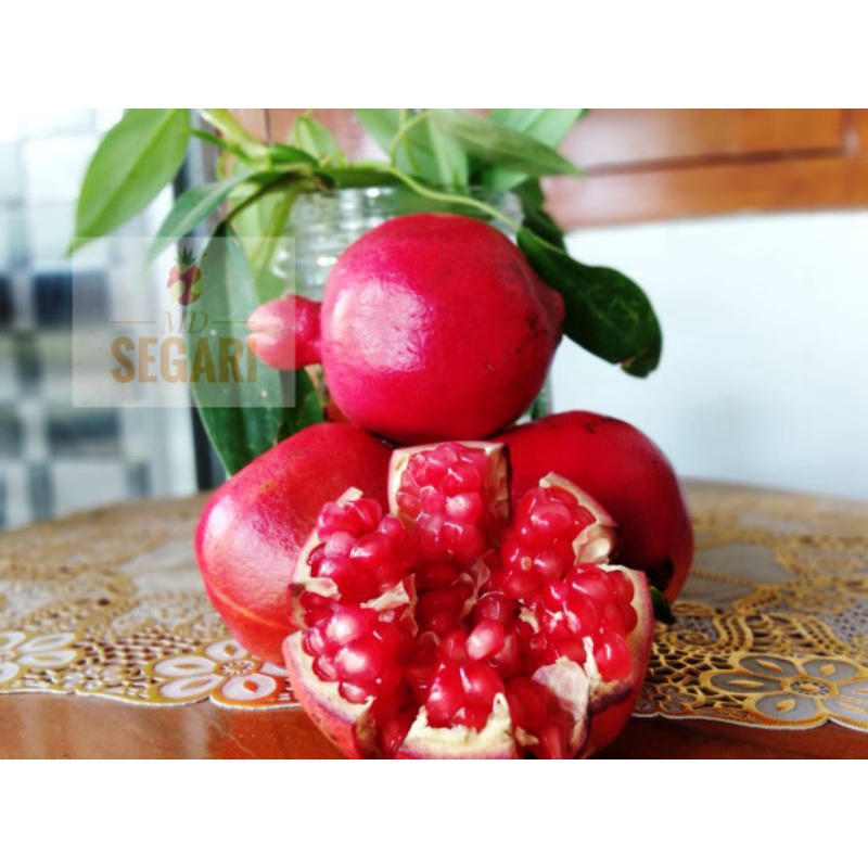 

Buah delima merah asli situbondo kualita import/eksport ekukuran sedang perbuah/perbiji