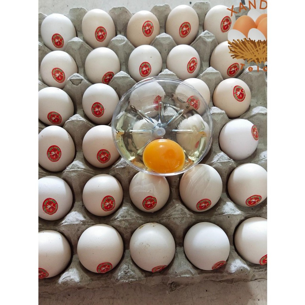 

telurayam kampung merah/omega per butir