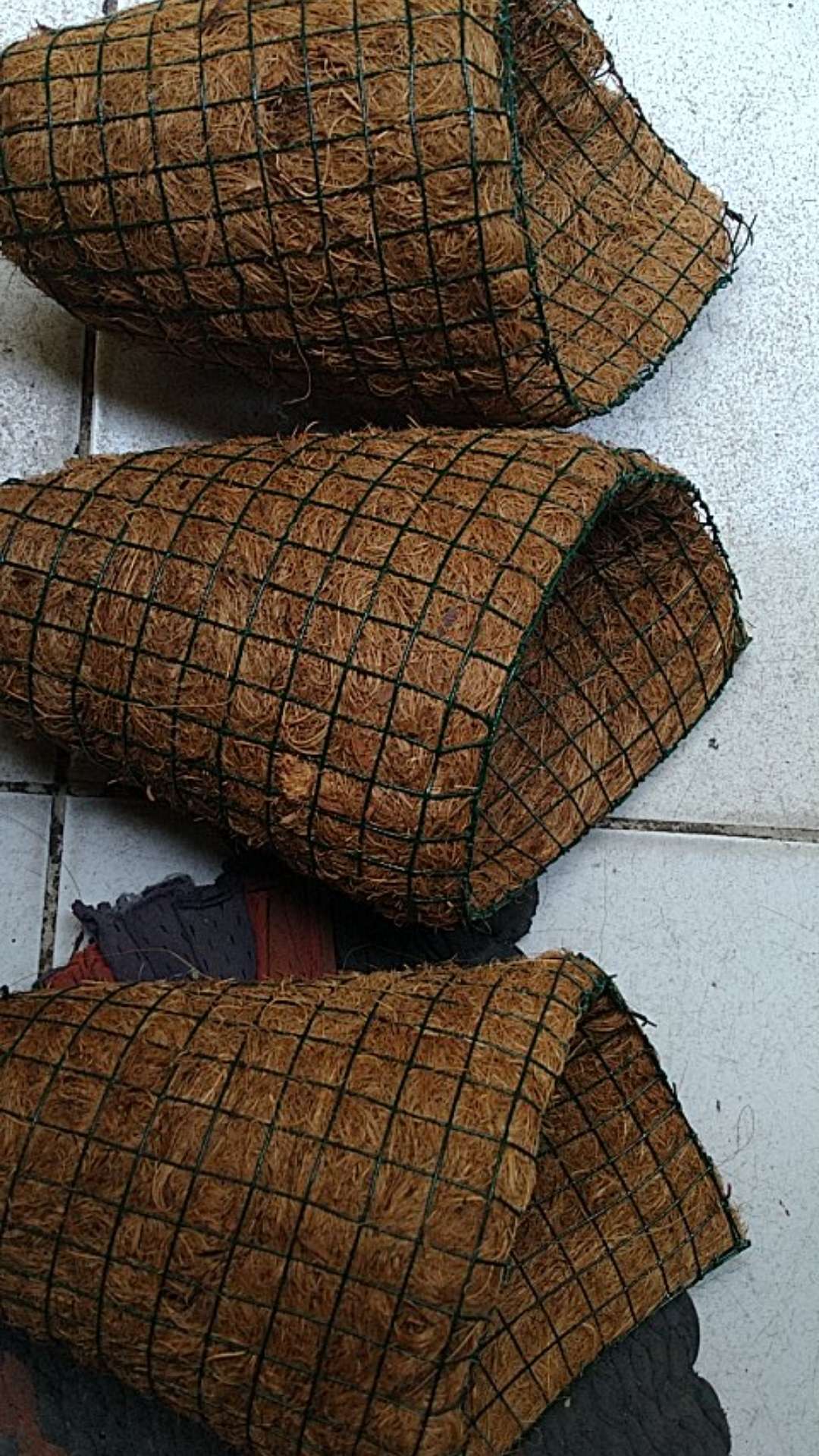 Pot Tempel / Pot Gantung / Pot Sabut Kelapa / Tanaman Anggrek / Dendrobium / Media Tanaman Anggrek