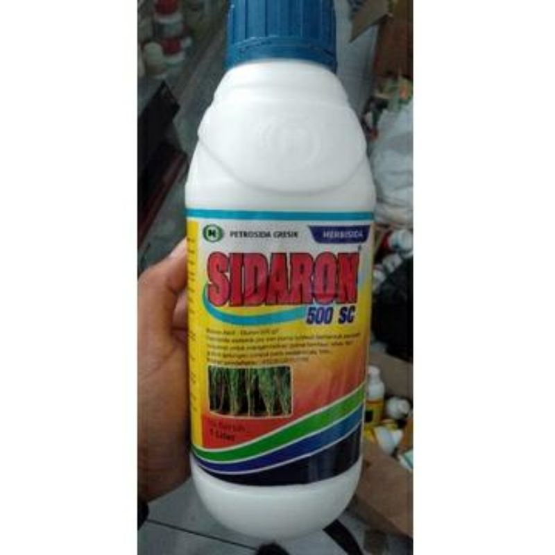 sidaron 500sc herbisida lulangan ( herbisida tebu )