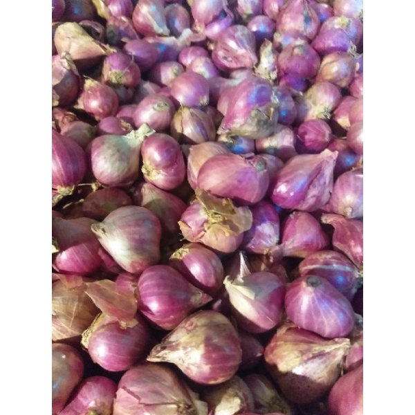 

Bawang Merah Super 500gr