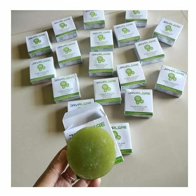 Javalgae NASA - Shopee Indonesia