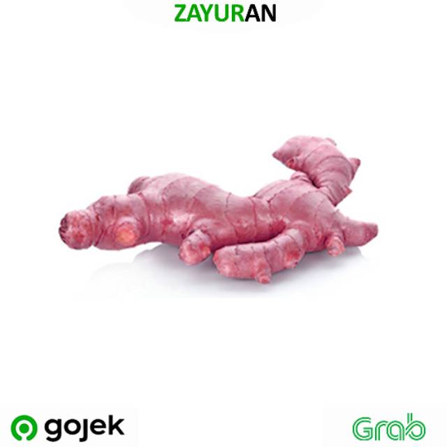 

Jahe Merah | Zayuran