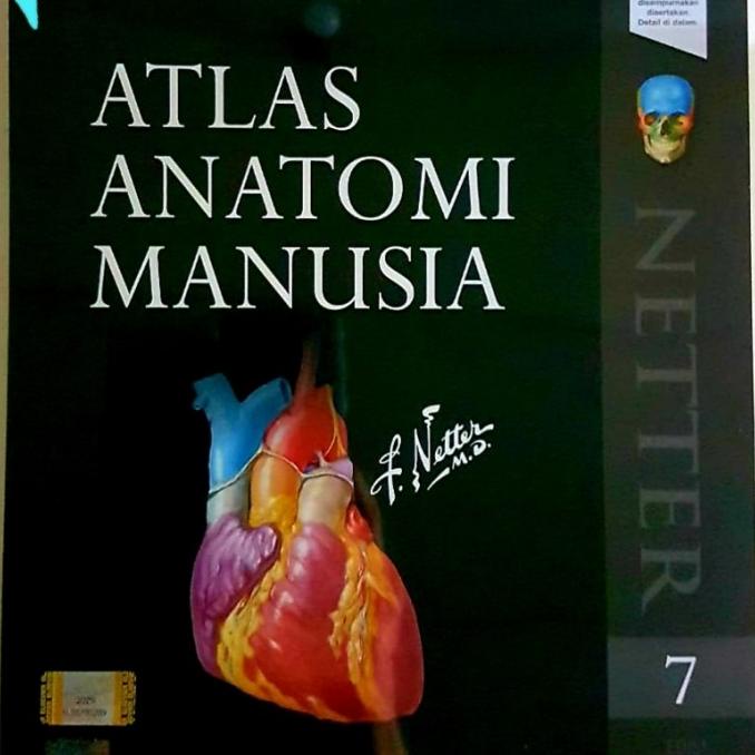

ORIGINAL Atlas Anatomi Manusia Edisi 7 - Frank H Netter