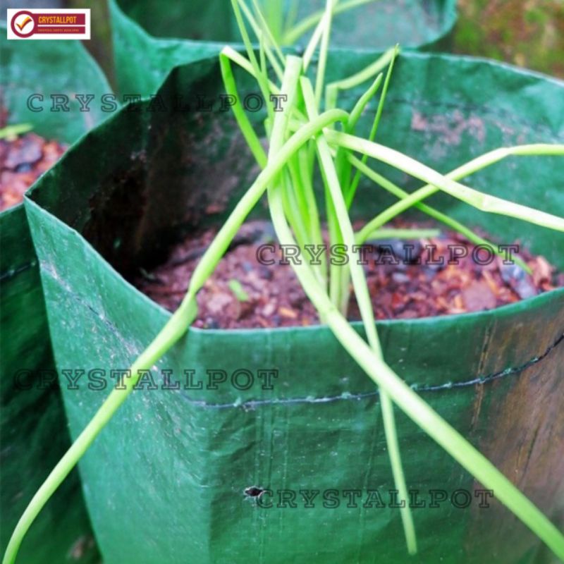 planter bag eco pack 5 liter no handle untuk pot tanaman - PLANTER BAG 5 LITER