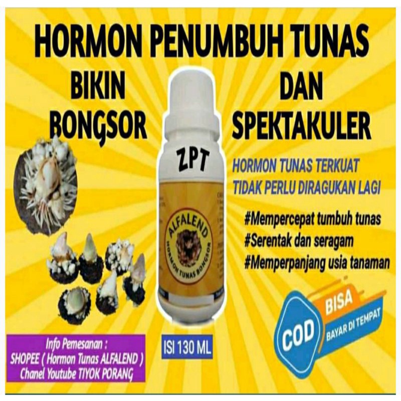 ZPT TUNAS BONGSOR hormon terkuat hasil formulasi pilihan auksin sitokinin giberelin dan 9 lainya sep